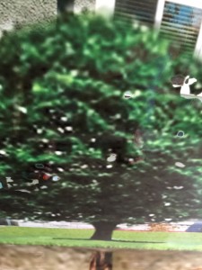 This is a low res jpg from the internet which was added to a vehicle wrap. We rejected this file. Think of how it would look up close? Whether driving down the freeway, or parked next to a possible client, we want your vehicle to look great! 