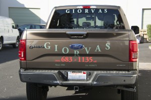Giorvasfromback