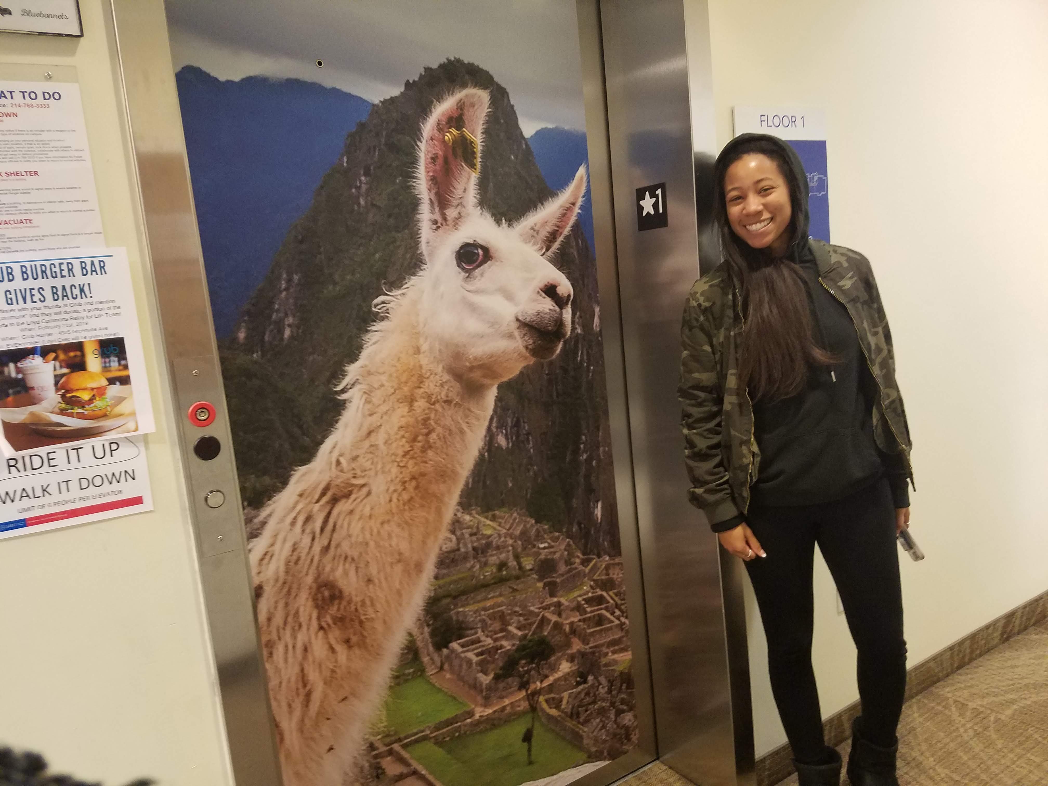 Elevator door graphics