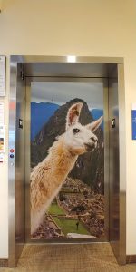 Vinyl elevator graphic