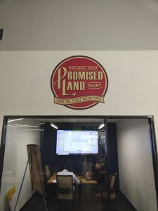 Vinyl wall graphic
