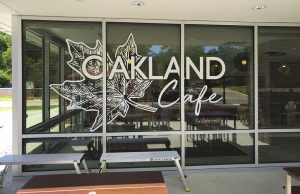 Detailed window graphics up close