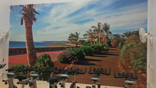 Wall Murals for Workout Centers in Brookfiield CT