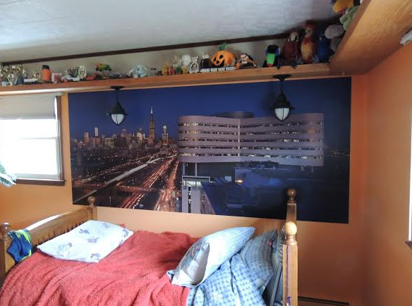 Vinyl Wall Murals for Children's Bedrooms Danbury CT
