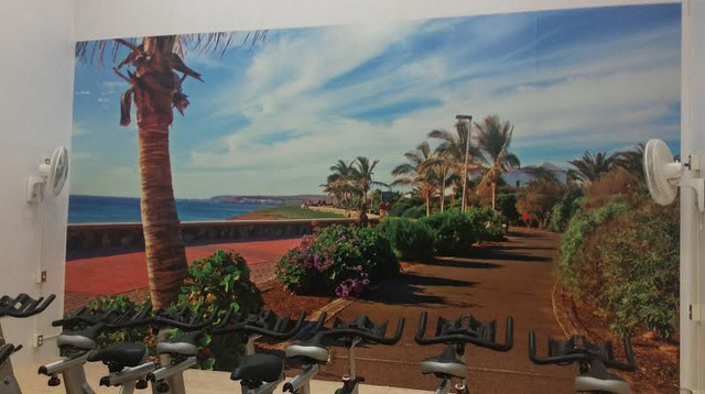 Wall Murals for Fitness Centers Brookfield CT