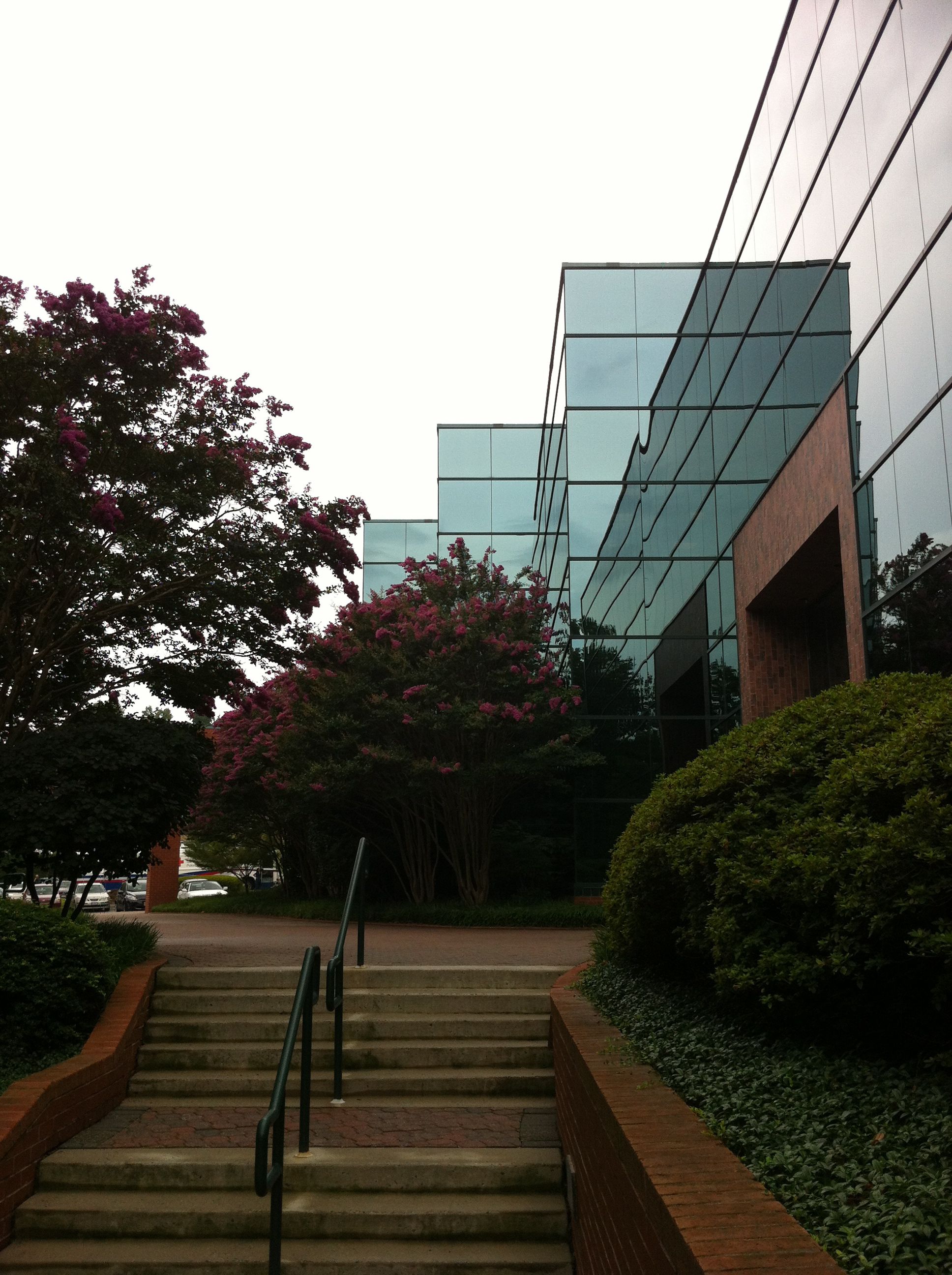 Protect Your Commercial Business with UV Protective Window Films – Denver, CO