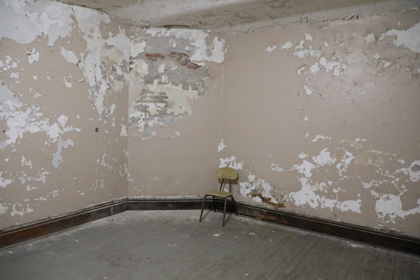 Mold Damage