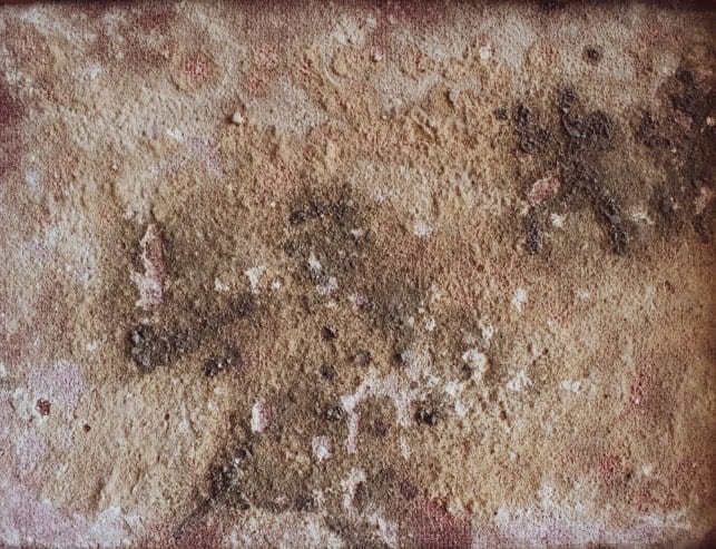 Local Mold