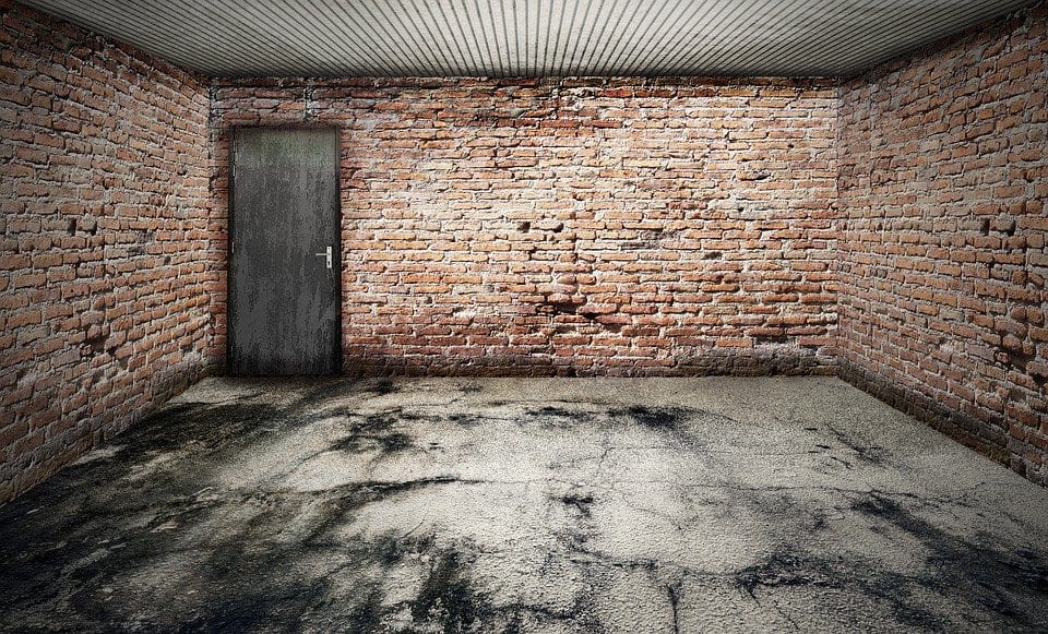 Mold