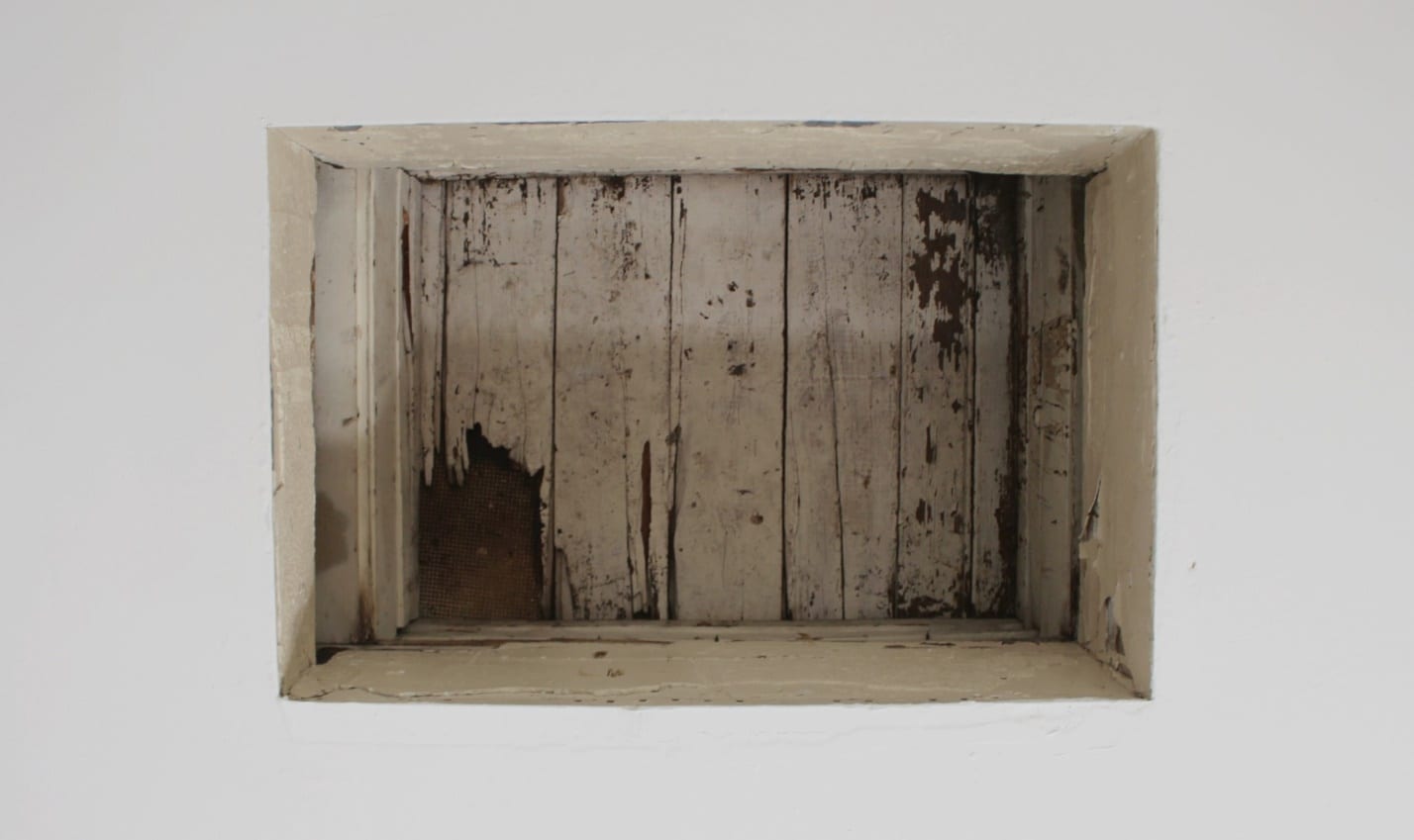 Mold Remediation Experts
