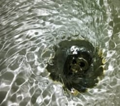 Greywater