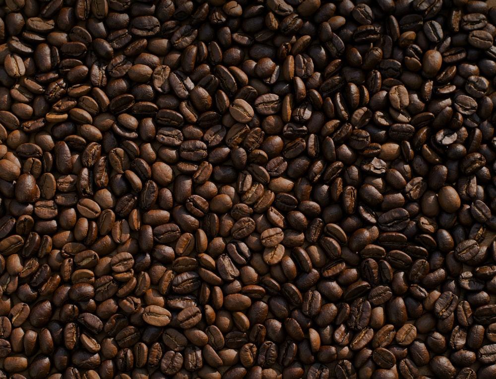 Eagle, ID – Meridian Locals: We Have Fat-Burner Coffees at Our Health Food Shop