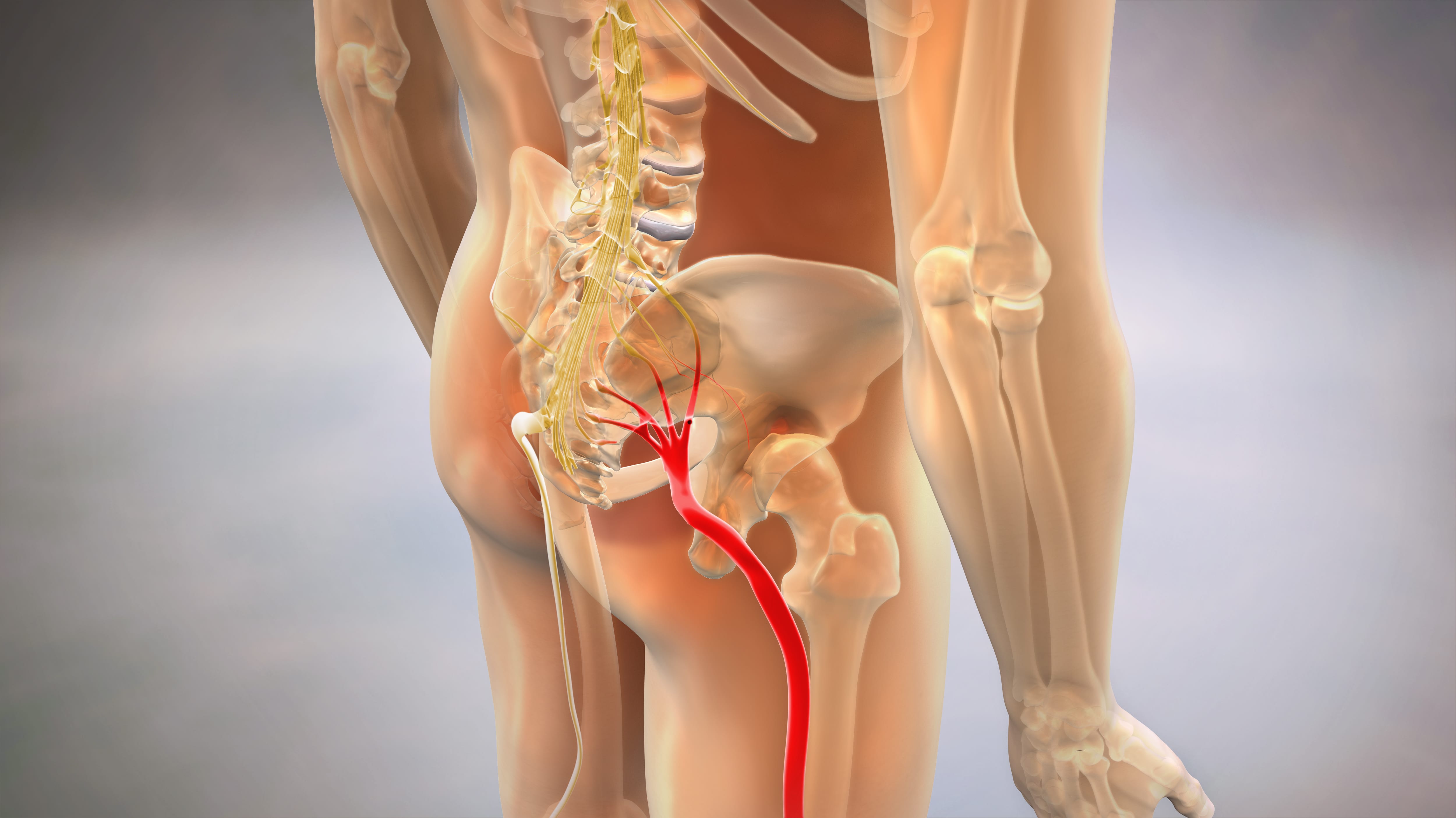 Atlanta, GA | Acupuncture for Pain | Herbal Medicine Fulton County | Sciatica