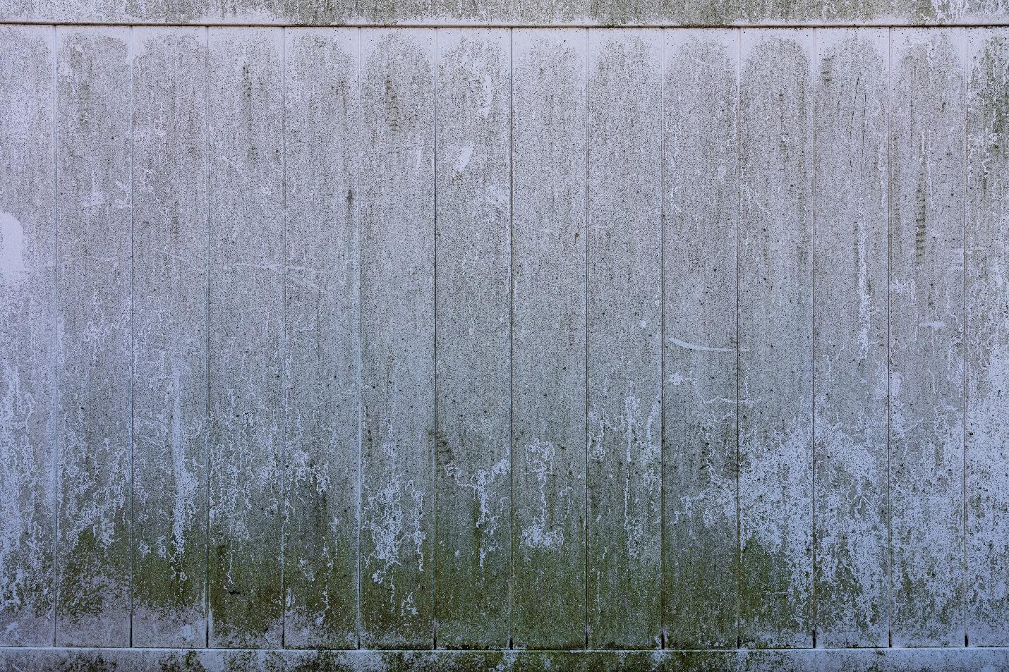 Mold Damage