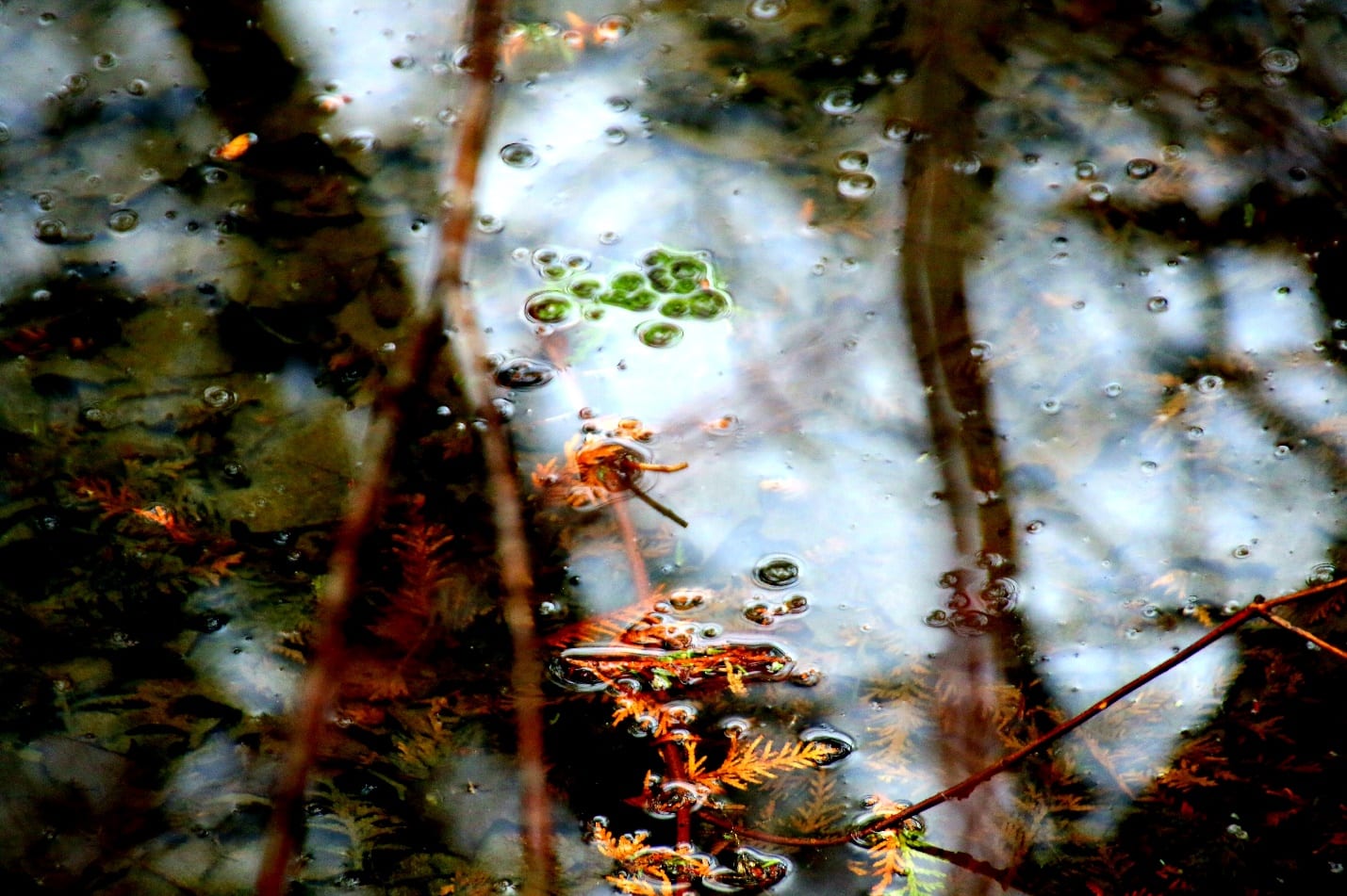 Contaminated Water