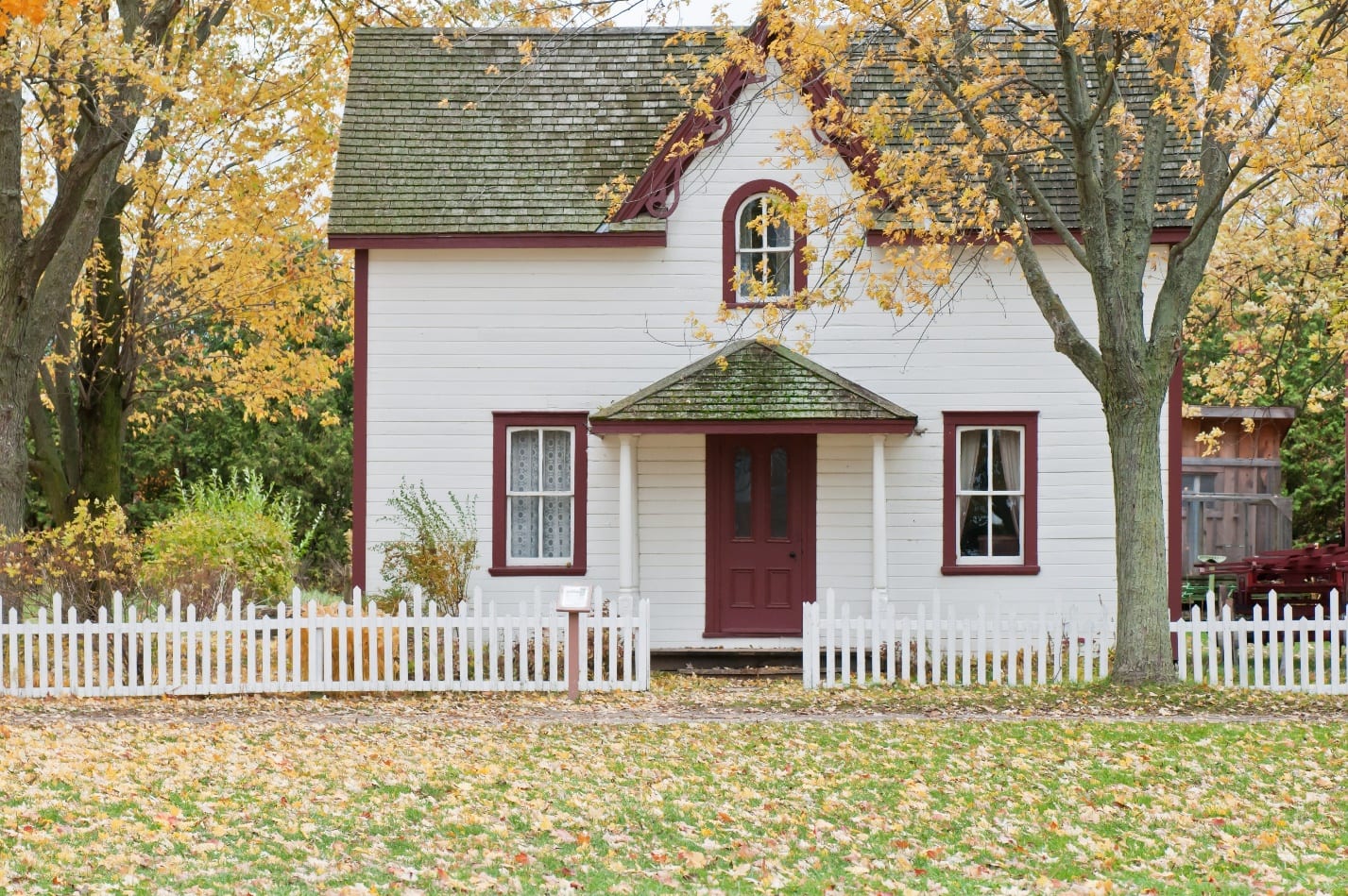 Mold Remediation Service