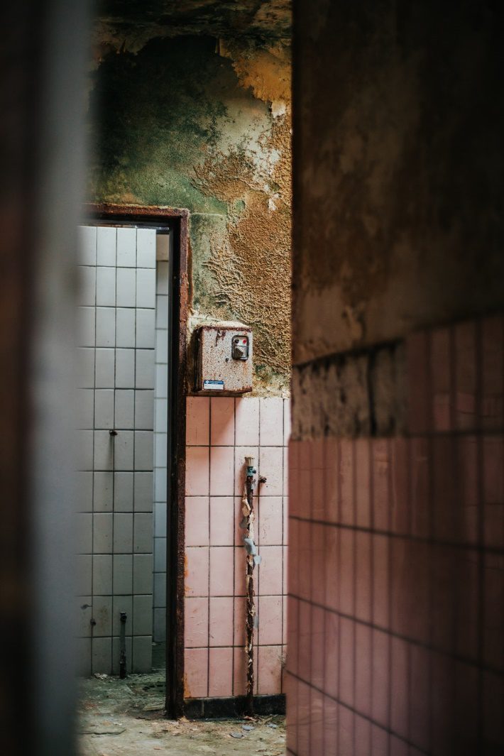 Edison, NJ – Prevent Causes of Mold Damage | Home Restoration Companies Advice