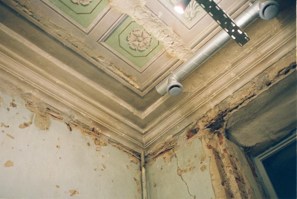 Princeton, NJ – Benefits of Hiring Us for Mold Inspection & Remediation Services