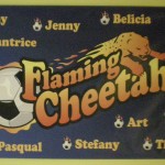 Team banner