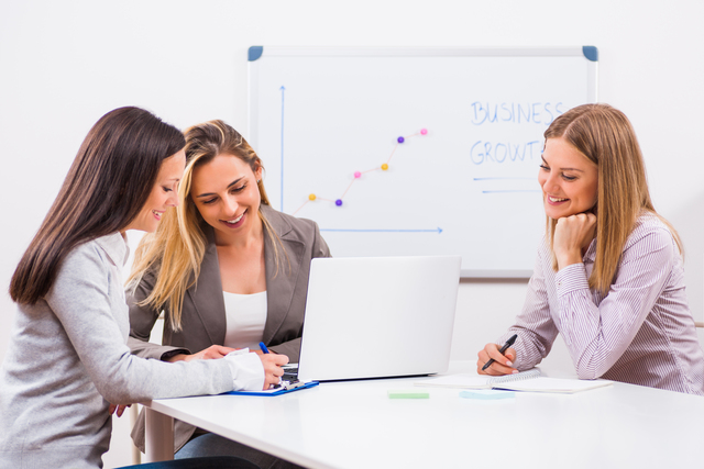 Elk River, MN - Business Coaching / Consulting Services in Sherburne County