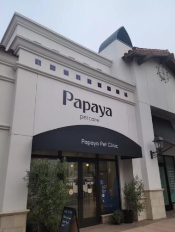 Customizing Channel Letters in San Diego, CA