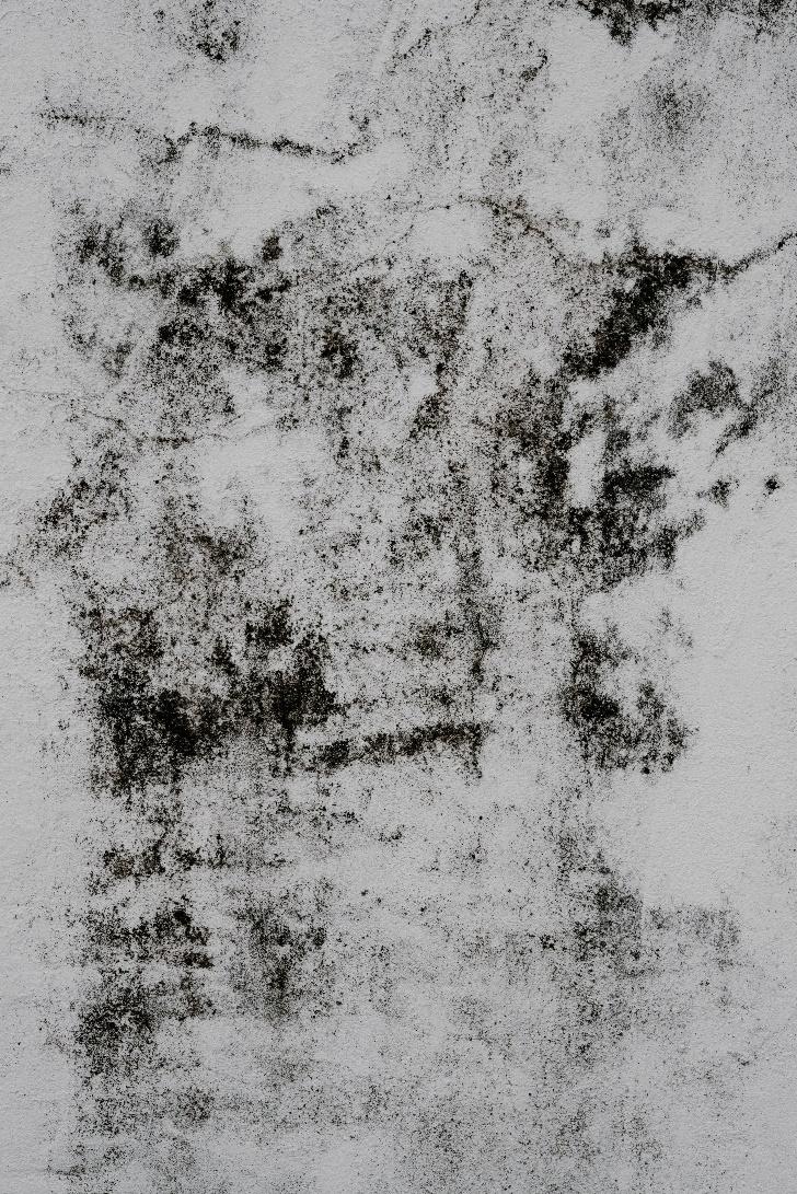 Prevent Mold Growth