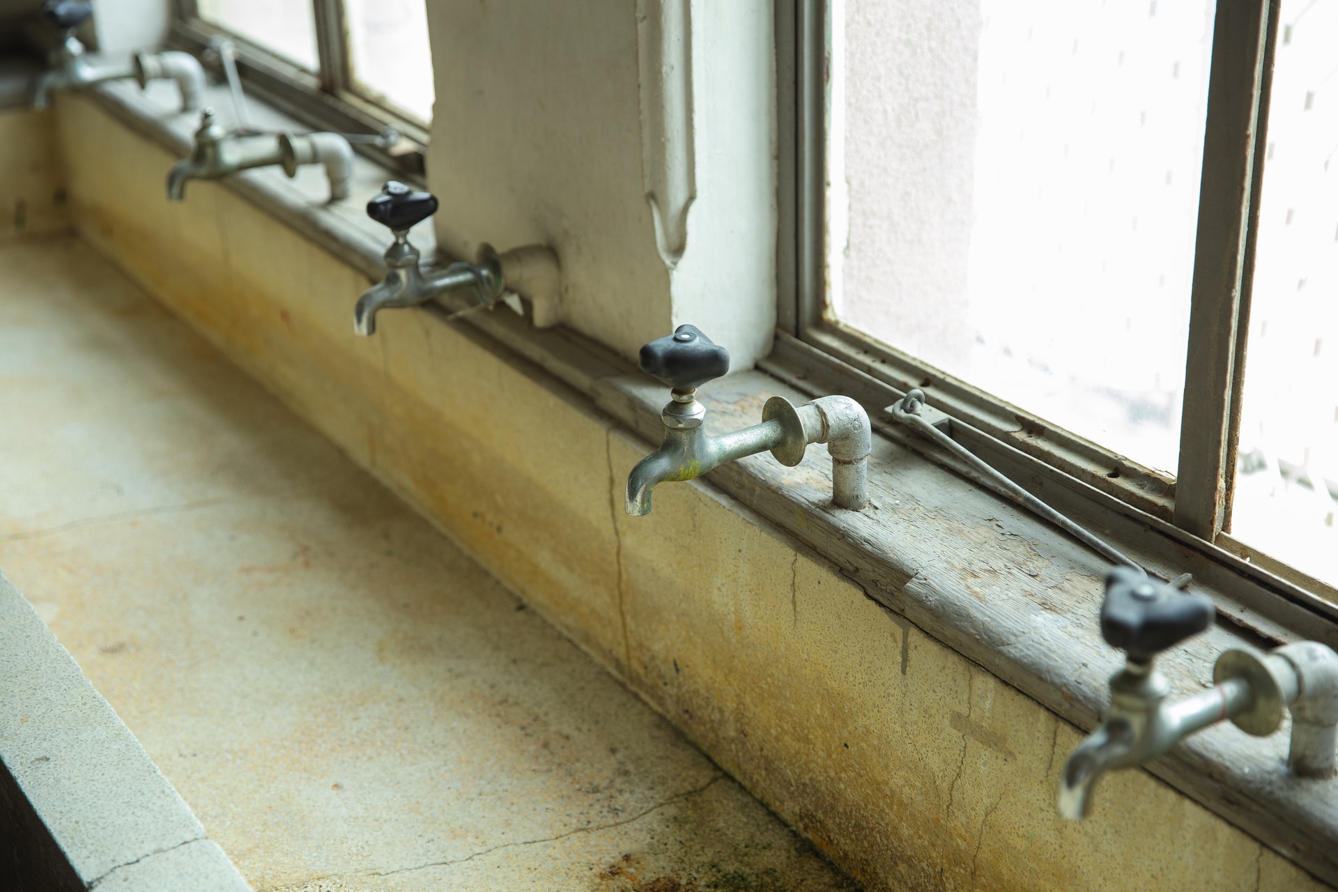 Mold Remediation