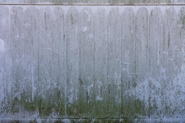 Mold Damage