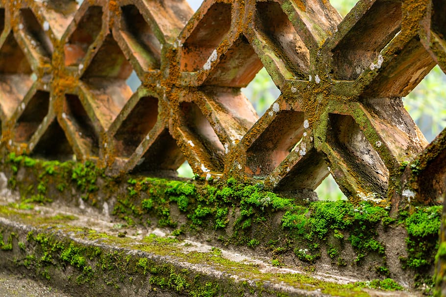 Moldy Terrace