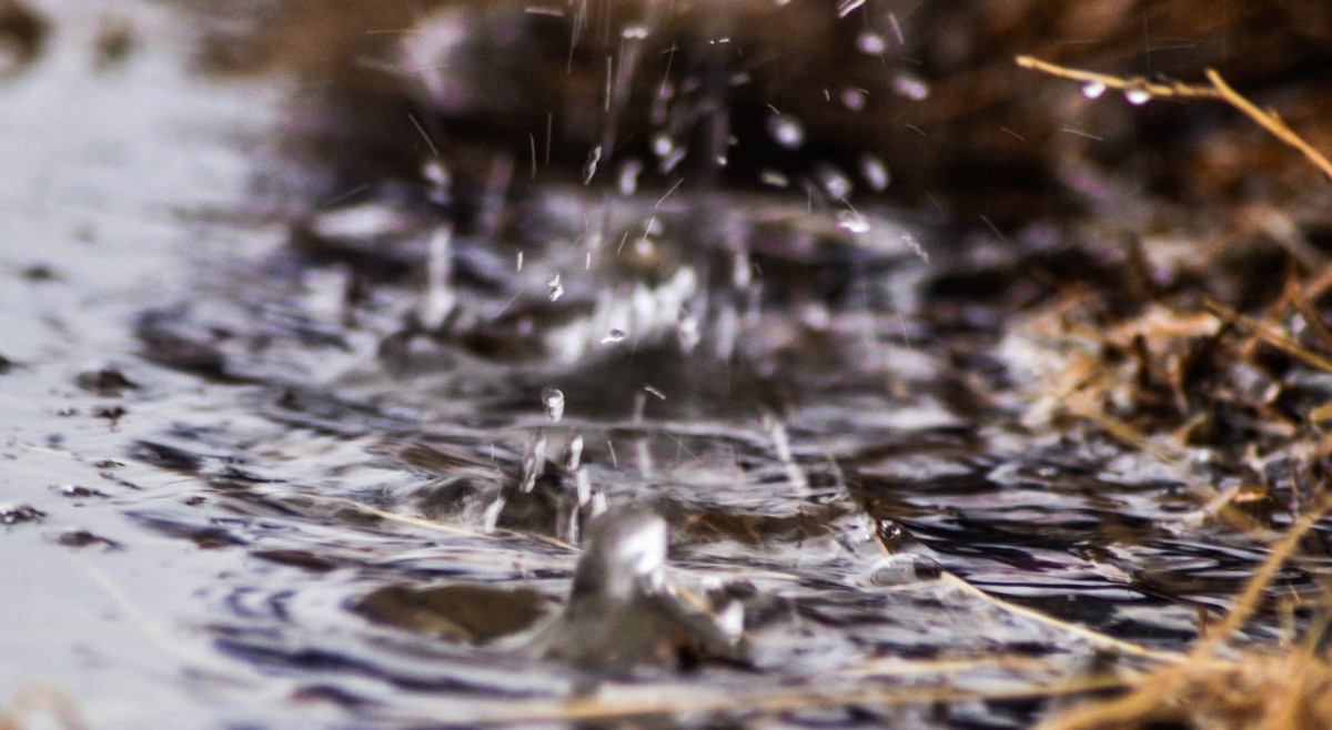 Rainfall