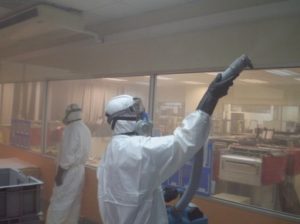 Mold Removal Procedure