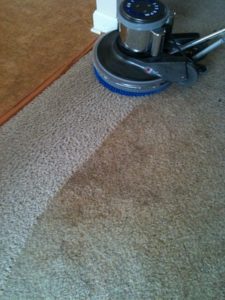 Carpet