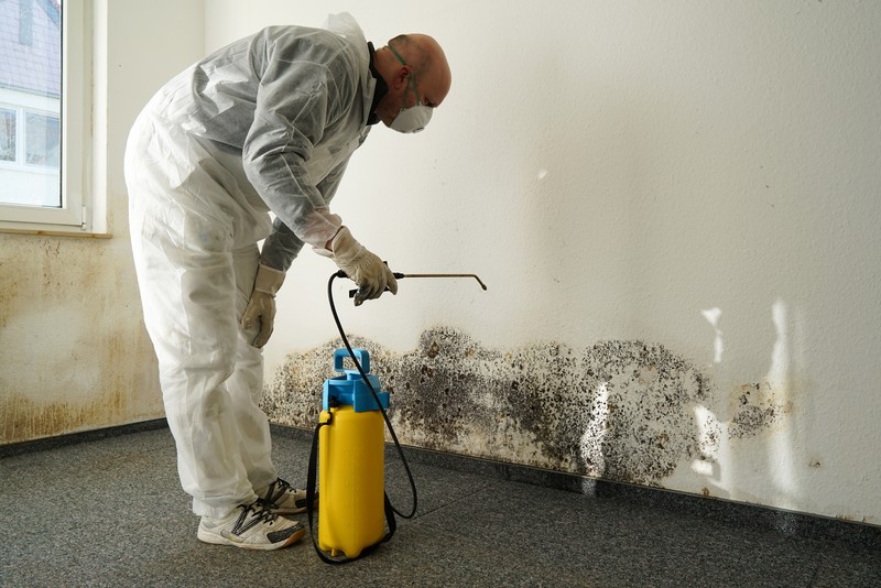 Rock Hill, SC – Choosing the Right Home Restoration Company for Mold Removal