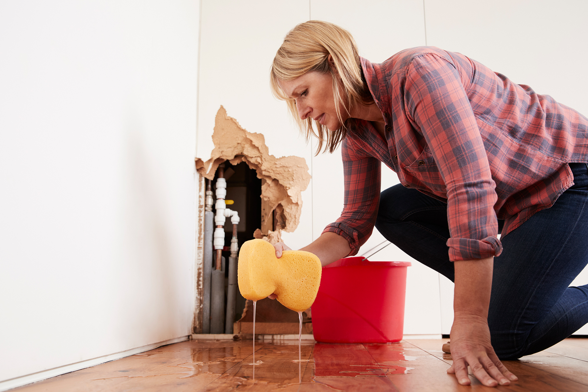 Fort Mill, SC – Water Damage Cleanup vs. Mitigation | Home Restoration News