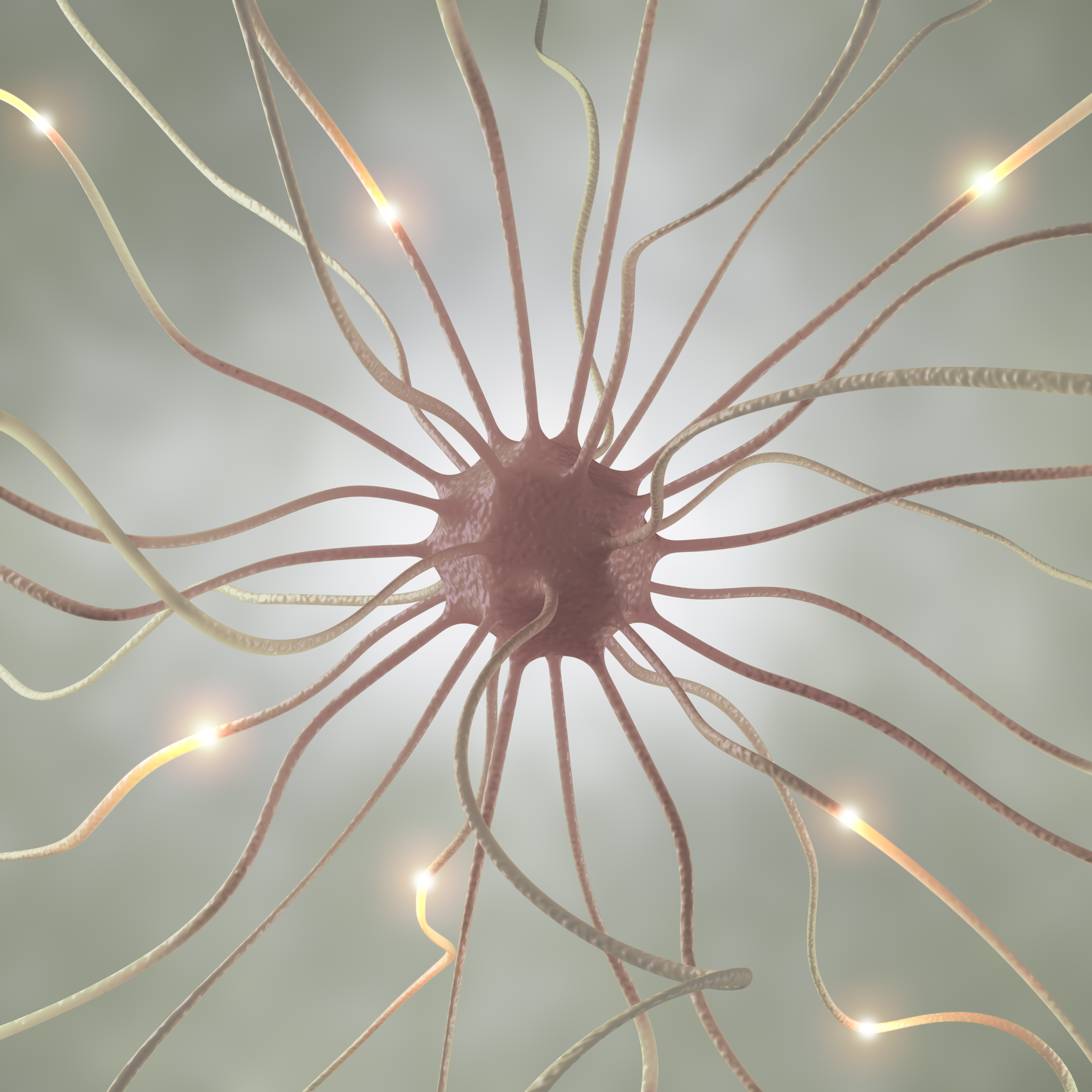 Nerve Cell Pulse