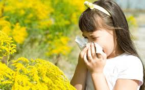 Fort Myers, FL - Child Suffering From Allergies? |Talk to Our Local Chiropractor