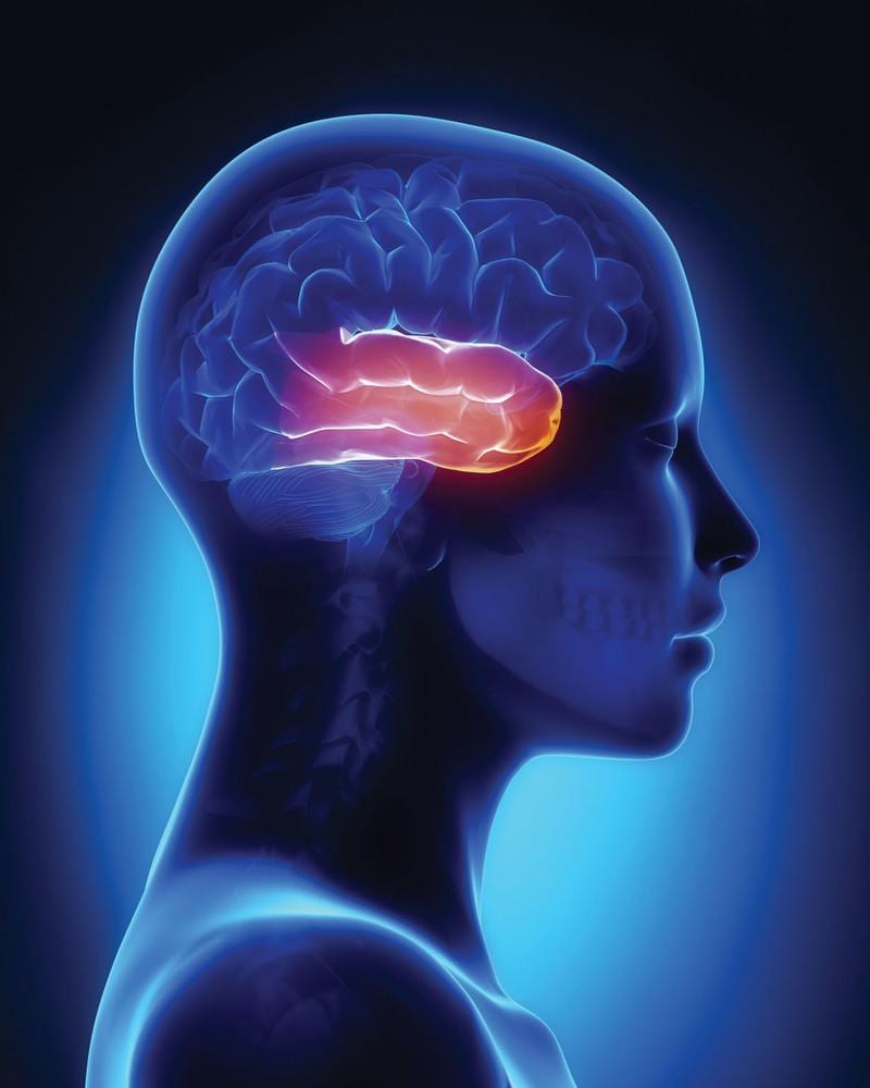 Helping Brain Lobe Function Through Upper Cervical Adjustment