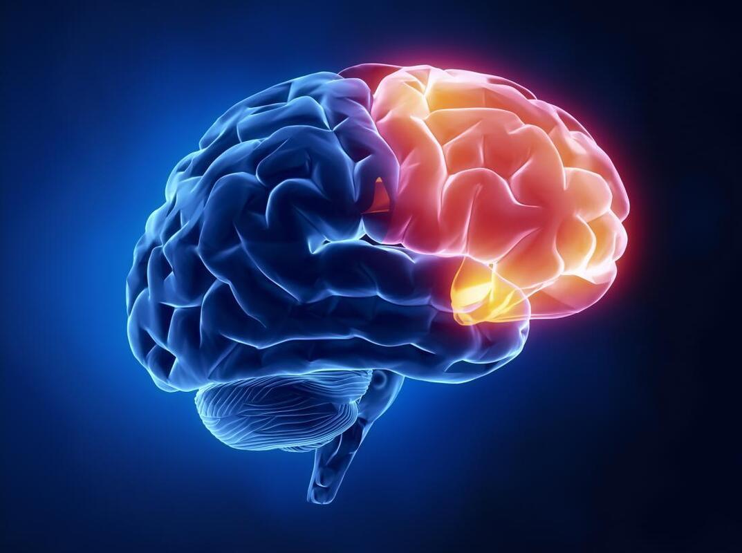 Clearing Up Frontal Lobe Dysfunction