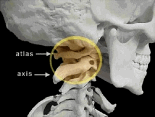 Fort Myers, FL - Most Conditions are a Nerve Issue | Ask Our Local Chiropractor