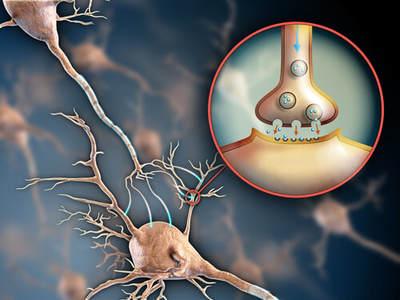 7 Ways to Effectively Boost Your Nervous System
