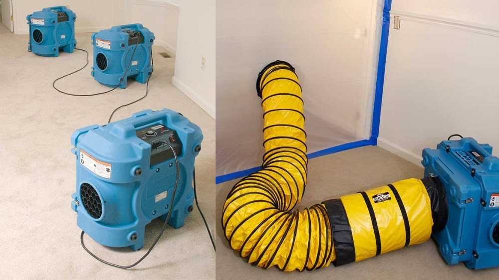 Mold issues Fort Myers