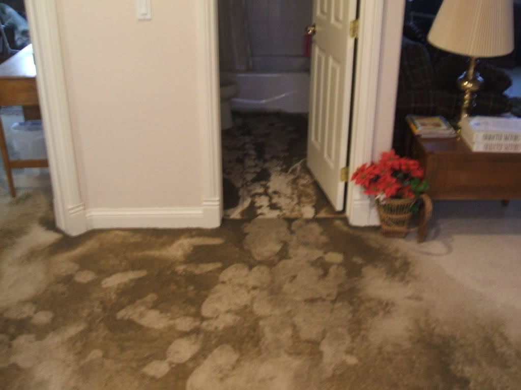 Water Restoration and Remediation in Fort Myers