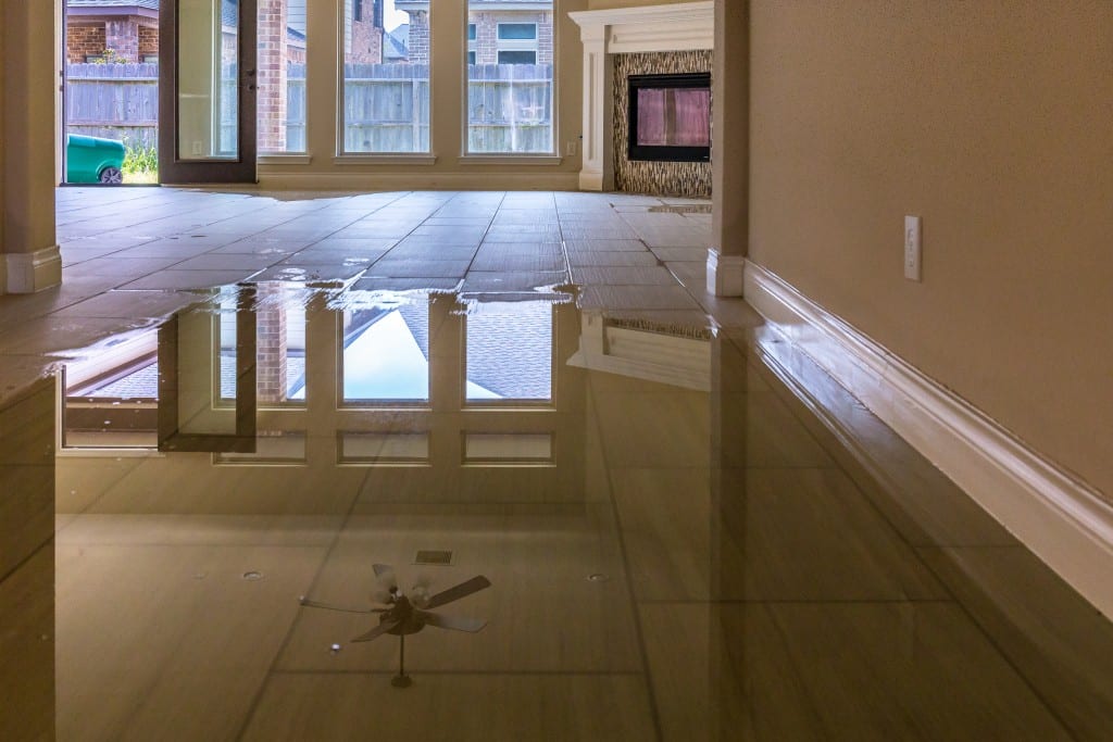 The Benefits of Using A Professional Water Remediation Company