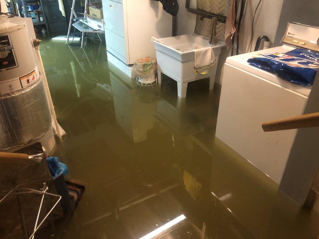 Why Hire a Professional to Clean Up Water Damage