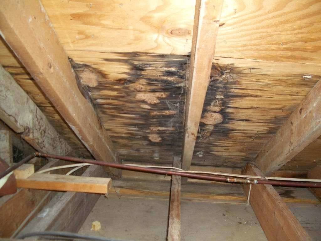 roof leaks