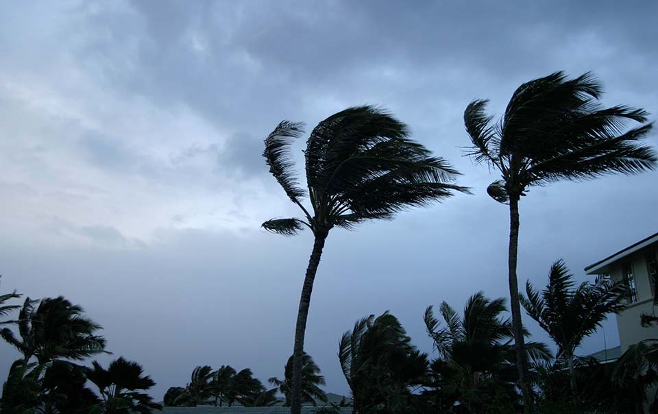 Got Property Damage? Steps to Take Before Filing Your Insurance Claim