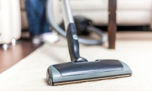 Winter Carpet Cleaning