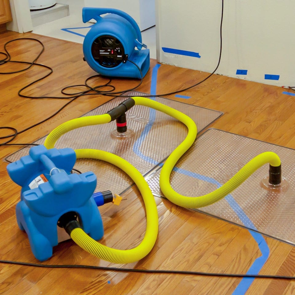 Fort Myers, FL - The Importance of Professional Mold Remediation | Restoration