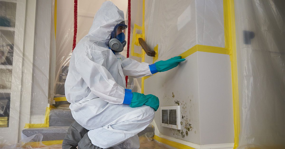 Fort Myers, FL - What to Expect from Spectrum Cleaning During Mold Remediation