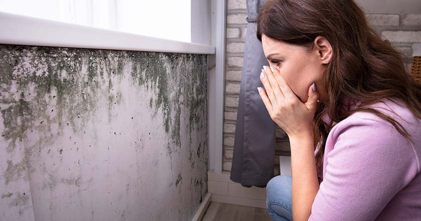 Fort Myers, FL - Spectrum Cleaning Tips for Mold Prevention in Southwest Florida